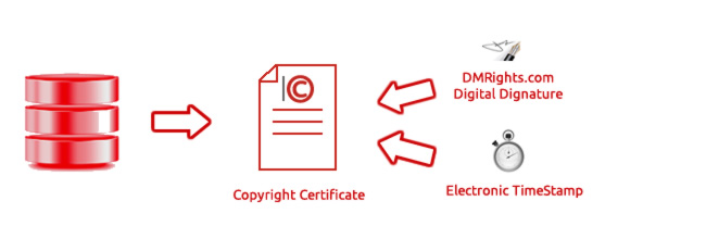 How to protect the copyright of your web Step 2