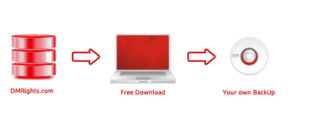 How to protect the copyright of your web Step 3
