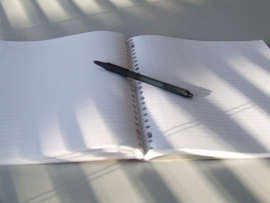 Famosos autores han copiado obras literarias  para sus propios libros