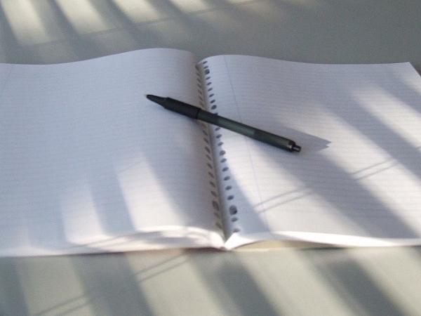 Famosos autores han copiado obras literarias  para sus propios libros